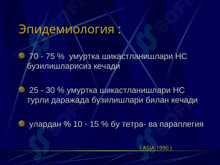 Умуртка погонаси ва орка мия шикастлари 4