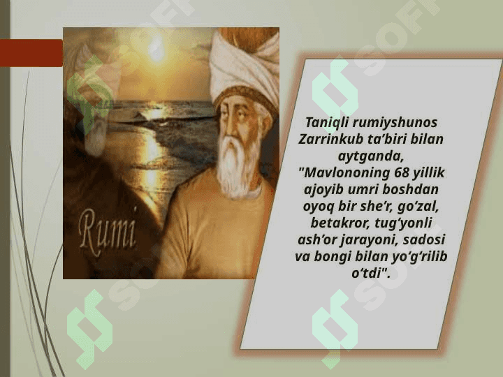 Jaloliddin Rumiy 5