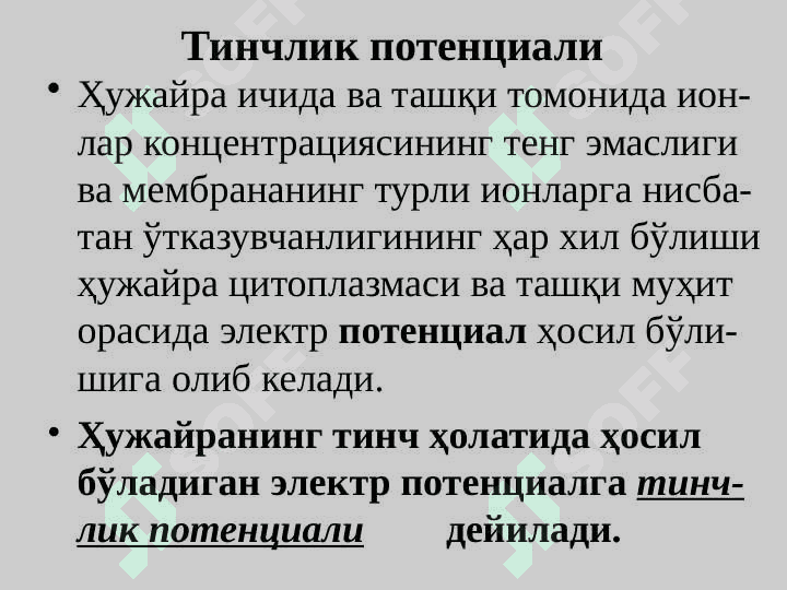 Биоэлектрогенез 5