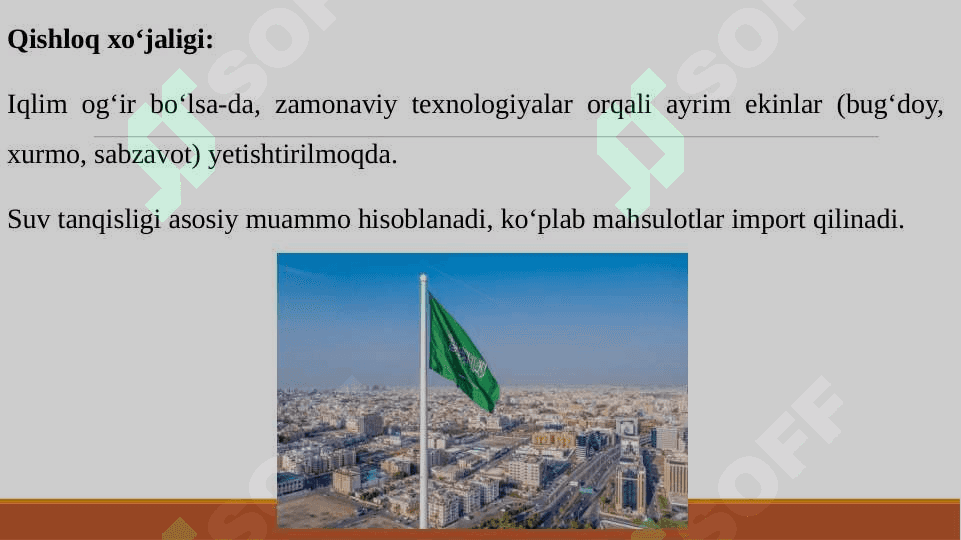 ARABISTON IQTISODIYOTI HAQIDA 6