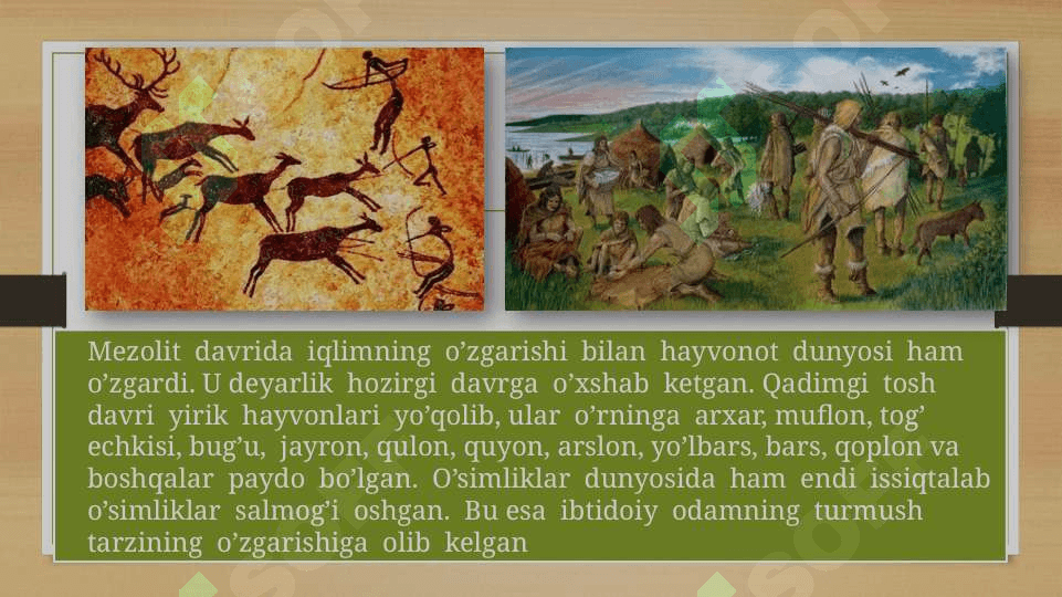 Mezolit davri yodgorliklari 4