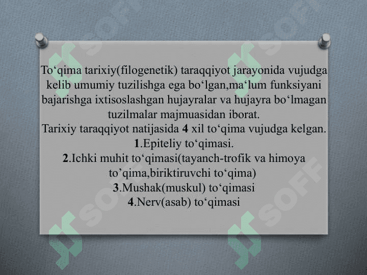 Epiteliy to‘qimalari-Bir qavatli epiteliy 2