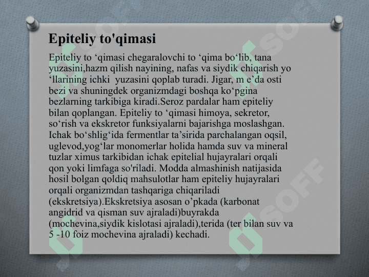Epiteliy to‘qimalari-Bir qavatli epiteliy 4