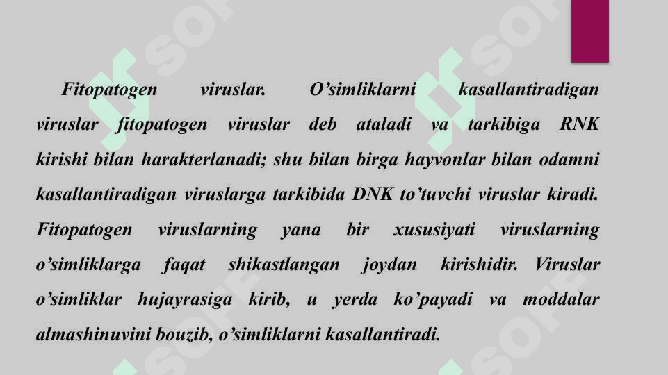 Fitopatogen viruslar va ularning xalq xo`jaligidagi ahamiyati 2
