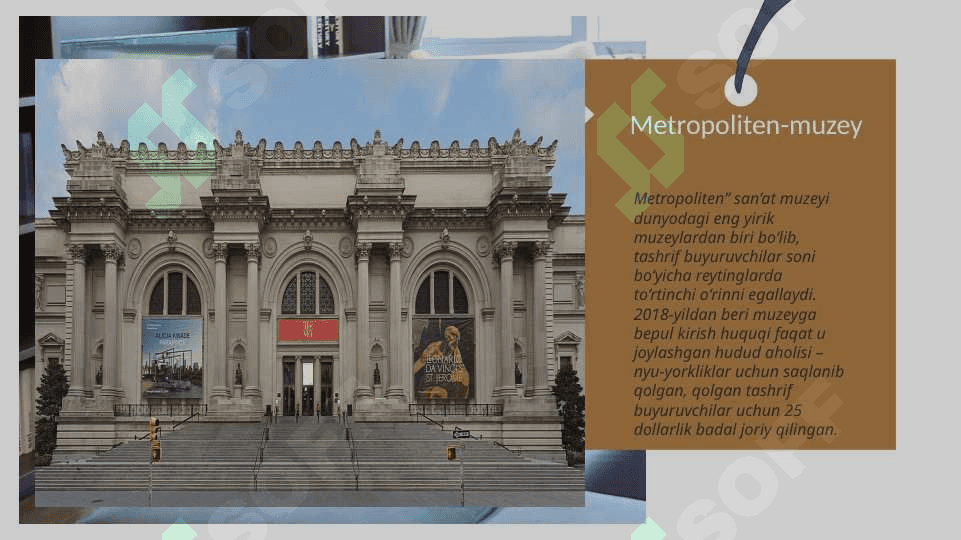 New York Metropoliten Muzeyi 4