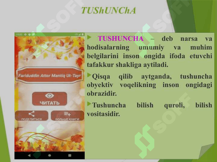 Tafakkur shakllari: Tushuncha, hukm, xulosa. 3