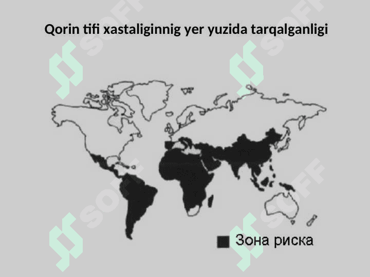 TIFOPARATIFOZ KASALLIKLAR 8