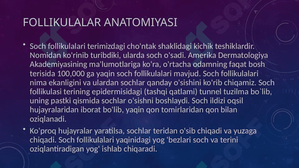 Soch follikulasining sikli va uning klinik ahamiyati 3