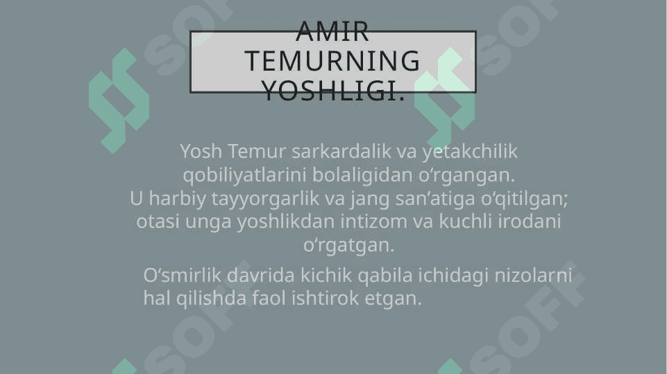 Amir Temur 4