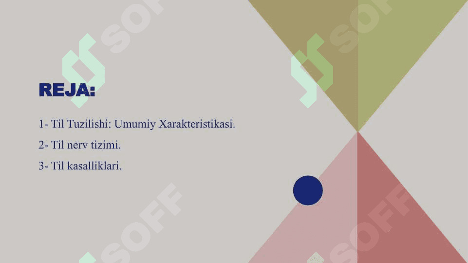 Til gistologiyasi : tuzulishi va funksiyalari 2