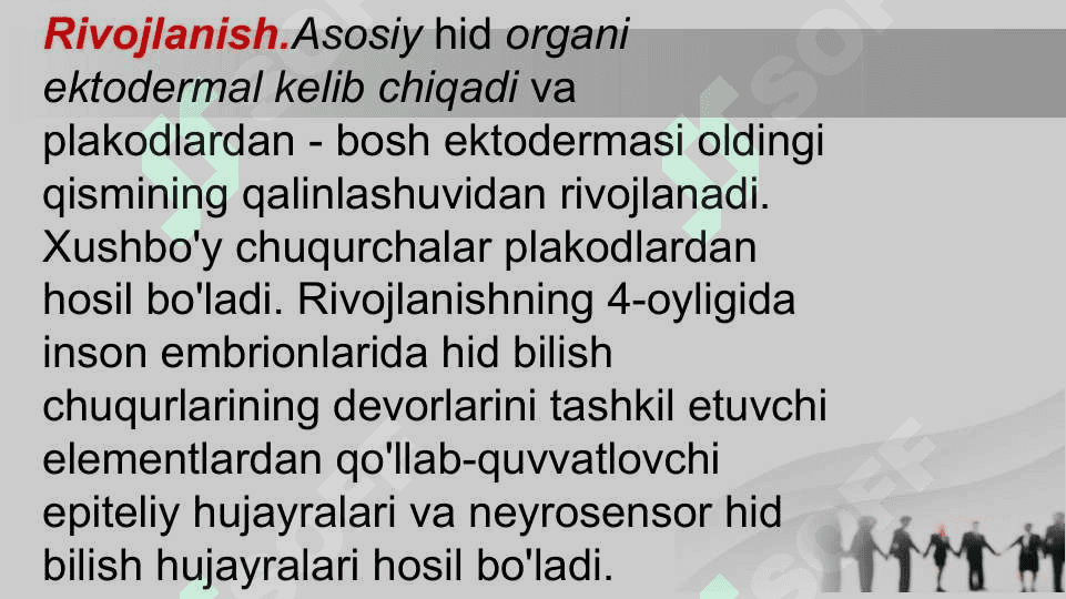 Hid bilish a’zosi 5