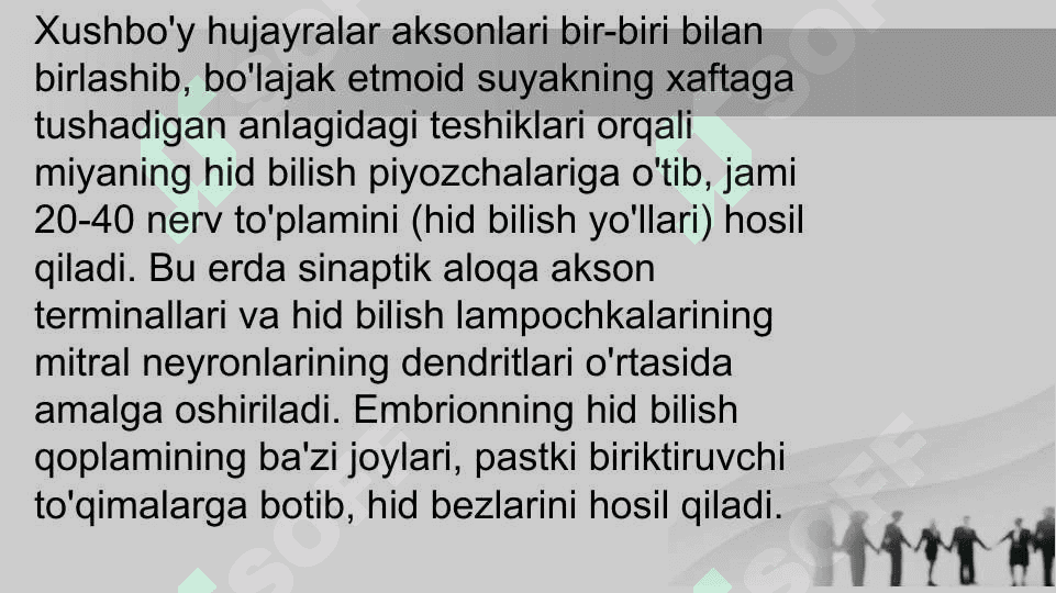 Hid bilish a’zosi 6