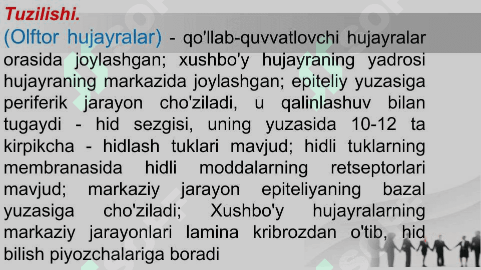 Hid bilish a’zosi 7
