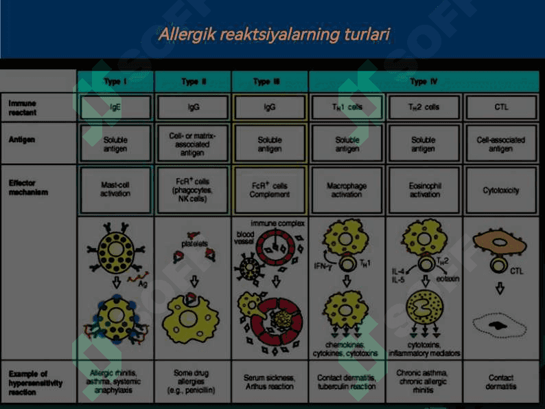 Molekulyar allergiya diagnostikasi - bugungi kunda allergologiyaning kelajagi 6