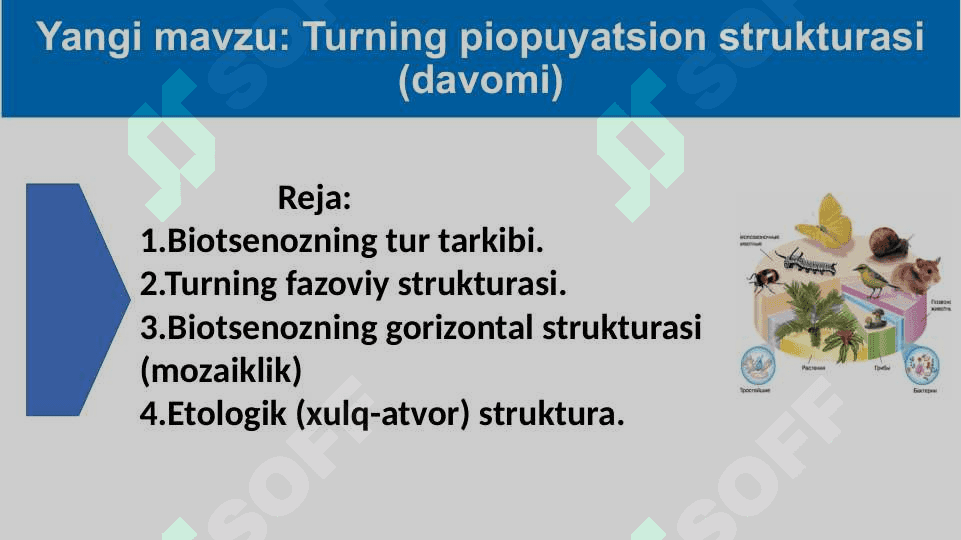 Mavzu: Turning populyatsion strukturasi(davomi) 3
