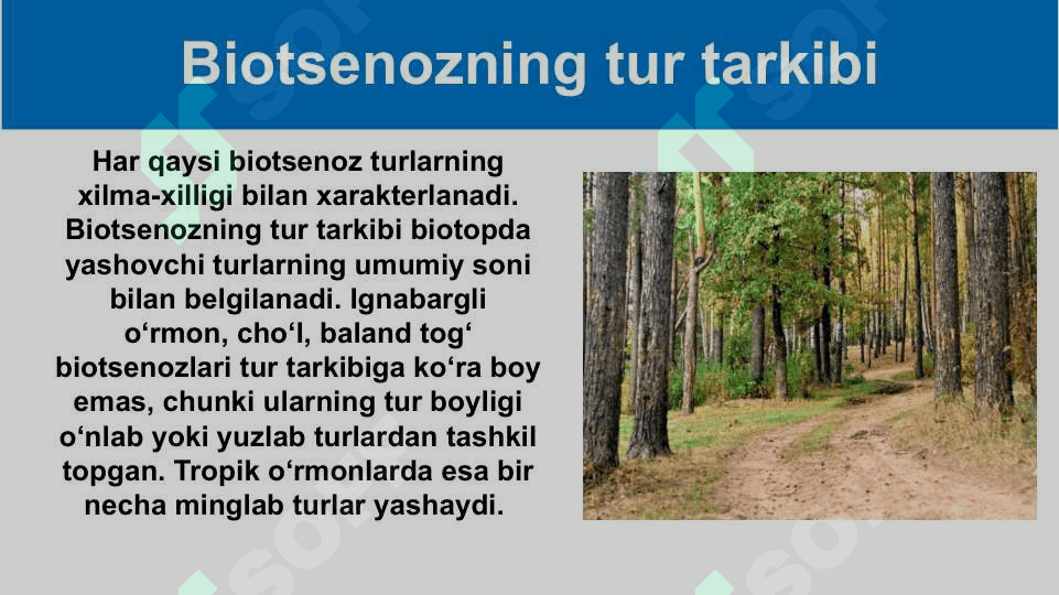 Mavzu: Turning populyatsion strukturasi(davomi) 4