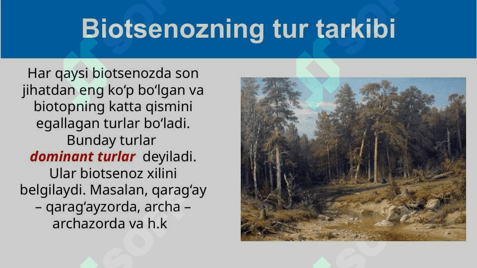 Mavzu: Turning populyatsion strukturasi(davomi) 6