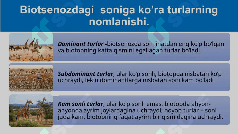Mavzu: Turning populyatsion strukturasi(davomi) 7