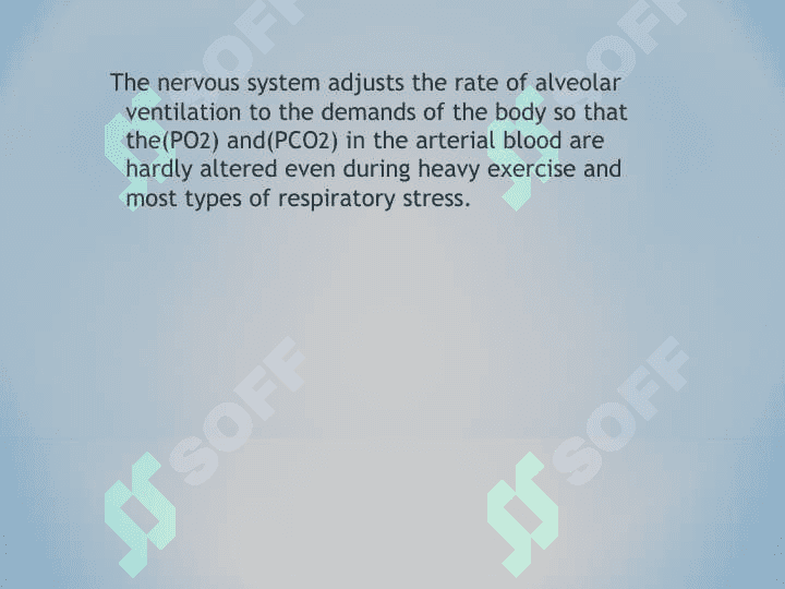 Regulation of Respiration 3