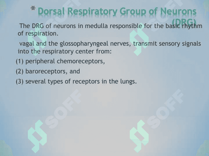 Regulation of Respiration 8