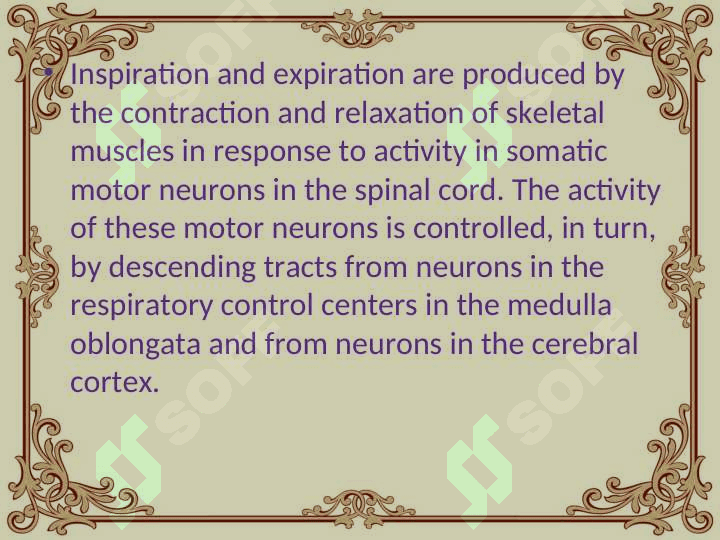 Regulation of breathing 3