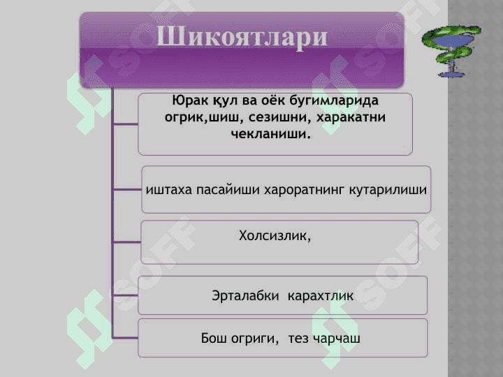 Тизимли кизил югурик 3
