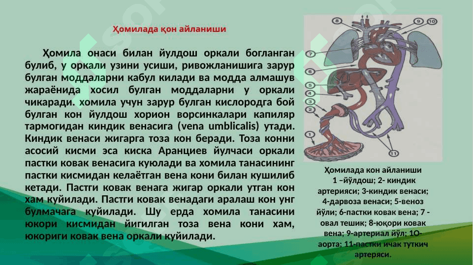 Юрак туғма нуқсонлари 6