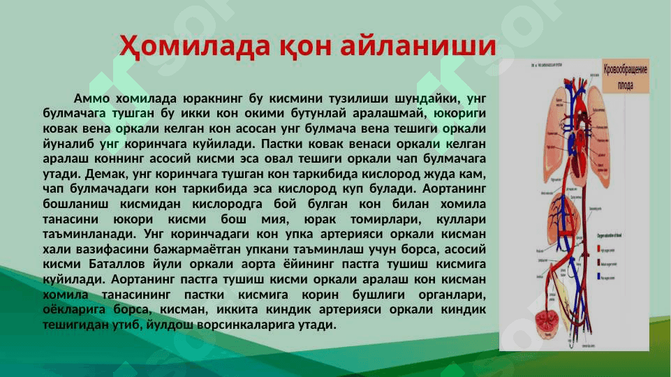 Юрак туғма нуқсонлари 7