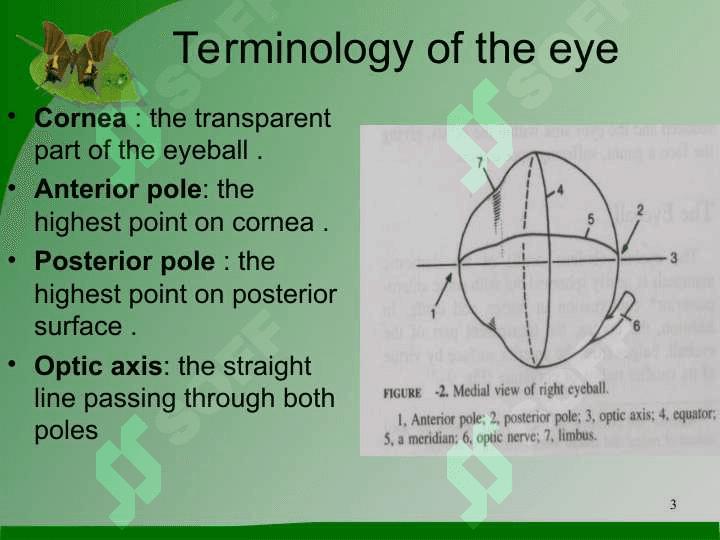 The  Eye 3