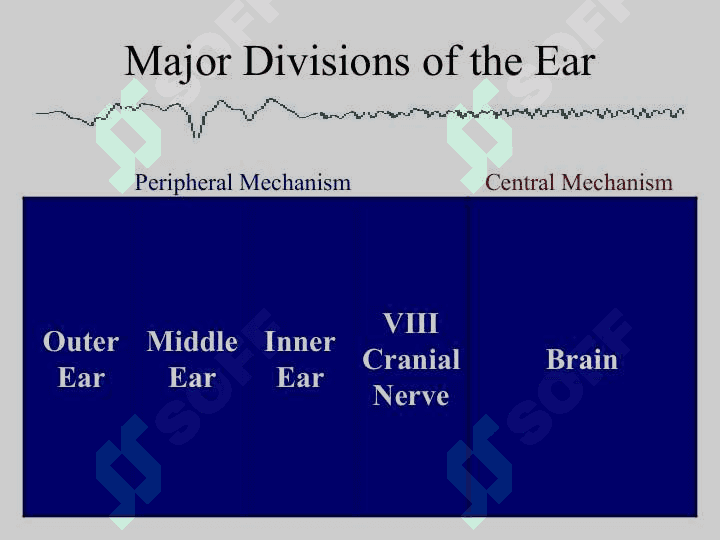 Anatomy Physiology and Disorders of the Hearing 2