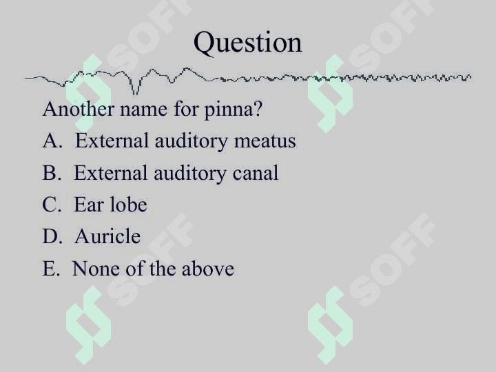 Anatomy Physiology and Disorders of the Hearing 6
