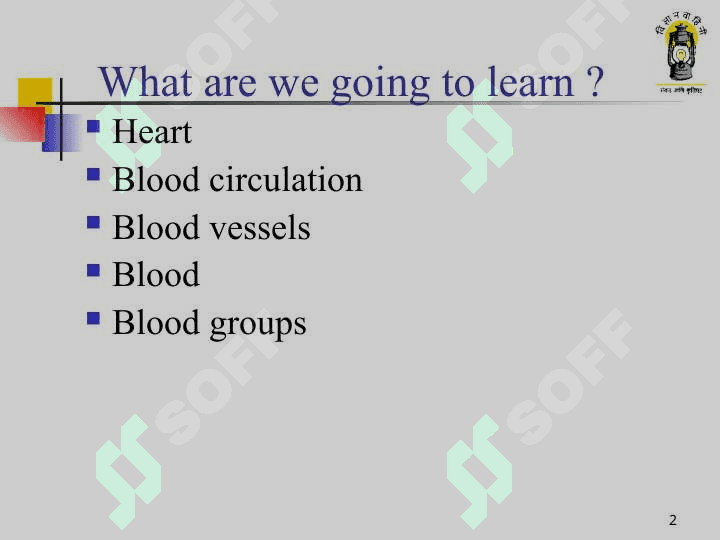 Circulatory system 2