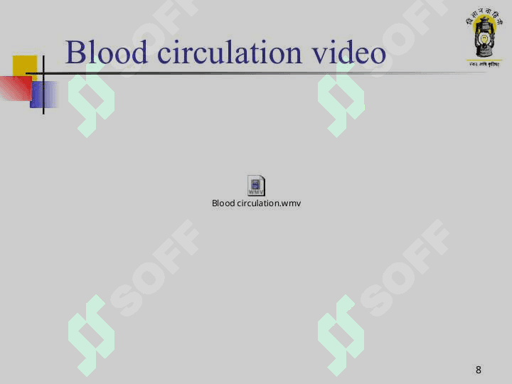 Circulatory system 8