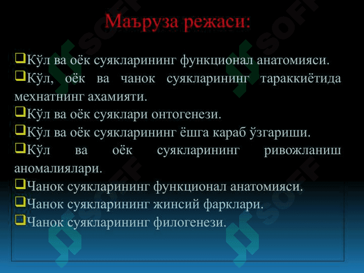 ҚЎЛ, ОЁҚ ВА ЧАНОҚ СУЯКЛАРИНИНГ ФУНКЦИОНАЛ АНАТОМИЯСИ 4