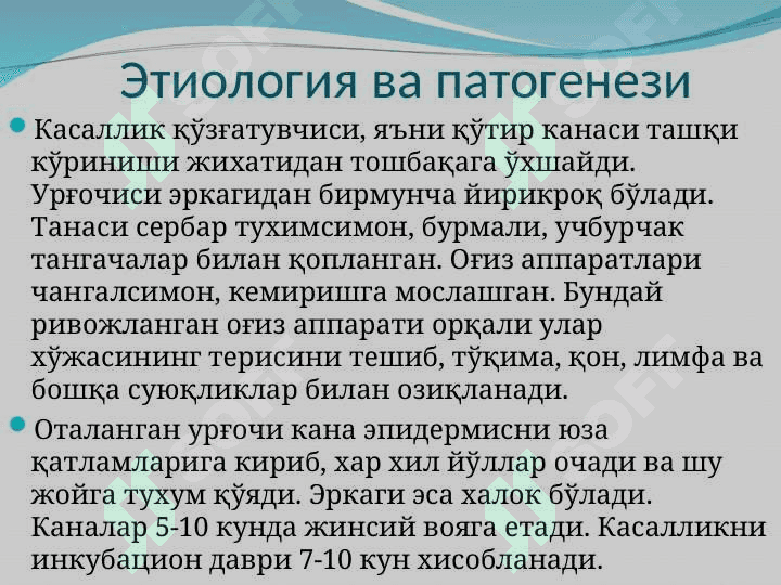 Терининг паразитар касалликлари 5