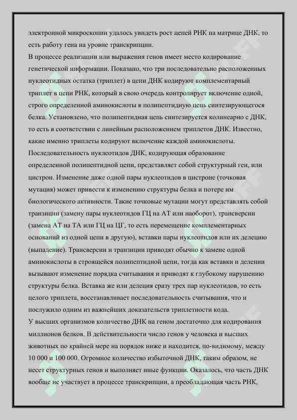 СТРУКТУРА БИОЛОГИЧЕСКОЙ РОЛИ НУКЛЕОТИДОВ НУКЛЕИНОВЫХ КИСЛОТ 3