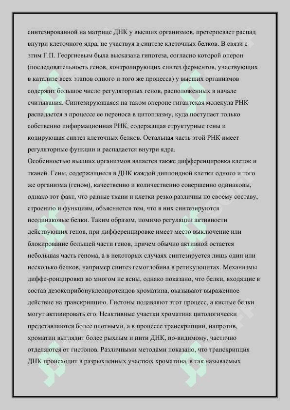 СТРУКТУРА БИОЛОГИЧЕСКОЙ РОЛИ НУКЛЕОТИДОВ НУКЛЕИНОВЫХ КИСЛОТ 4