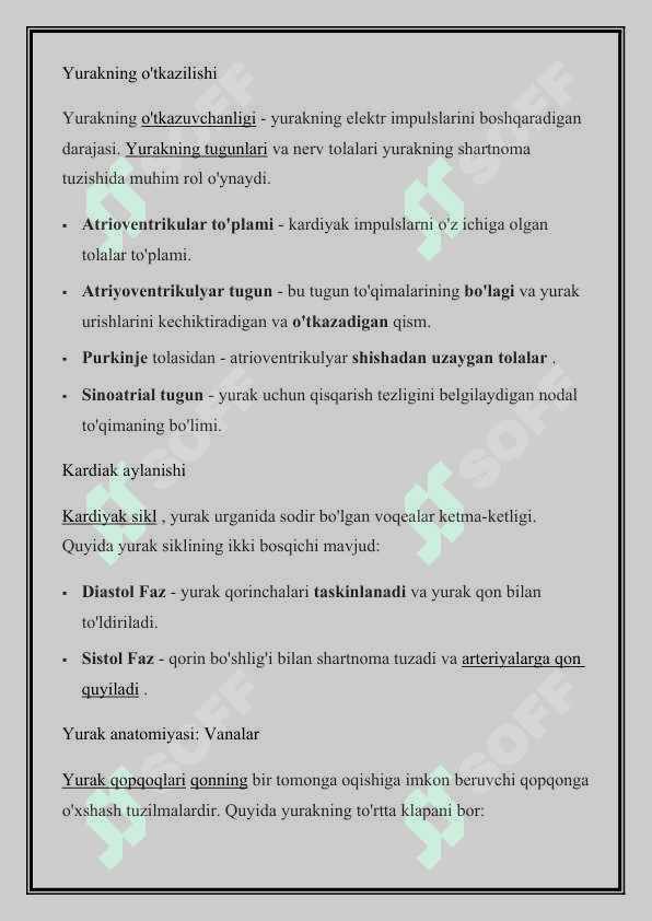 Yurak funksional anatomiyasi 2