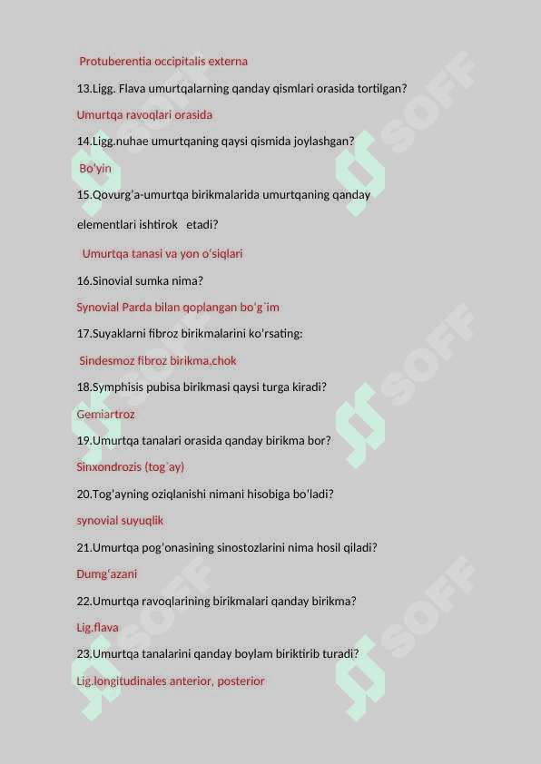 anatomiya test savollar 2