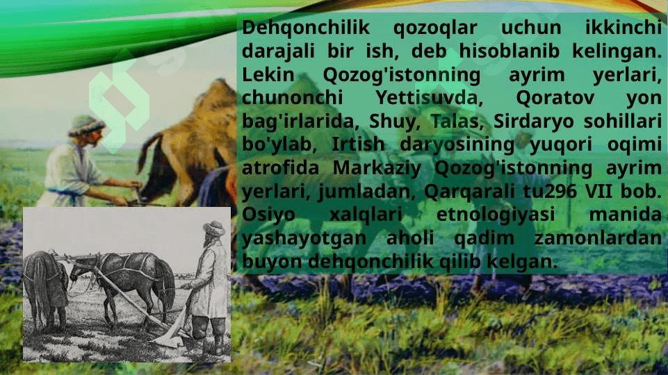 Qozoqlar etnologiyasi urf odatlari va madaniyati 6
