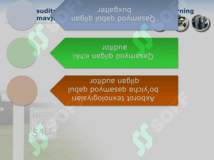 AQSH VA EVROPA DAVLATLARIDA AUDITORLIK FAOLIYATI 5