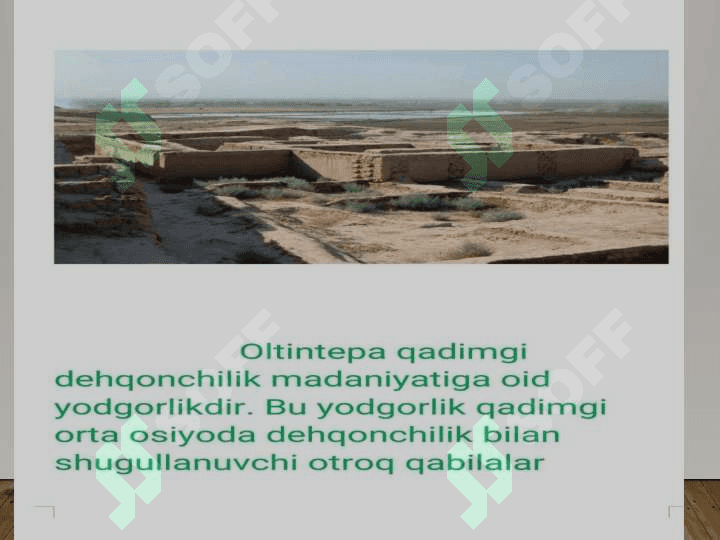 OLTINTEPA YODGORLIGINI O'RGANISH 8