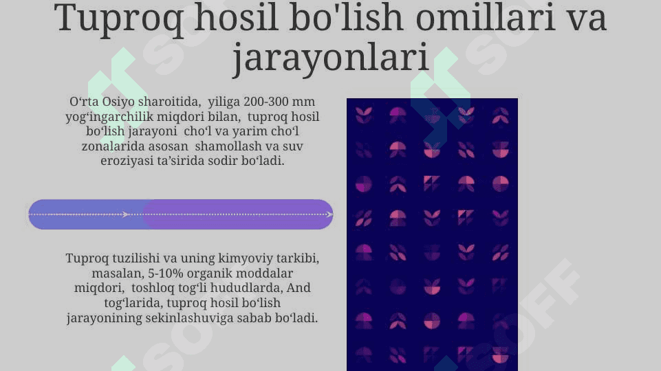 Tuproqlarning geografik tarqalish qonuniyatlarini o’rganish 4