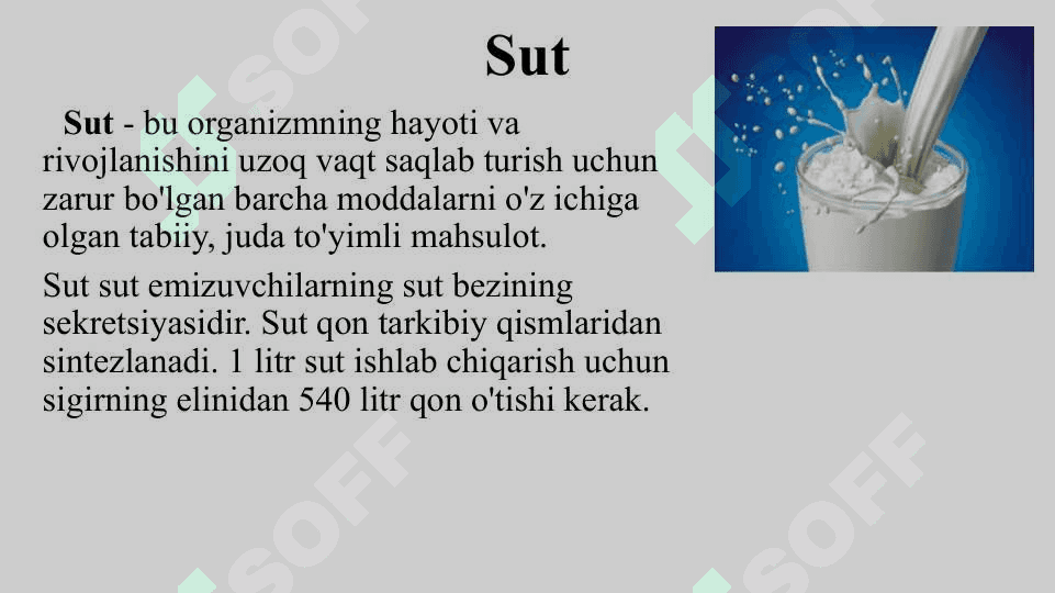 SUT VA SUT MAHSULOTLARI 3