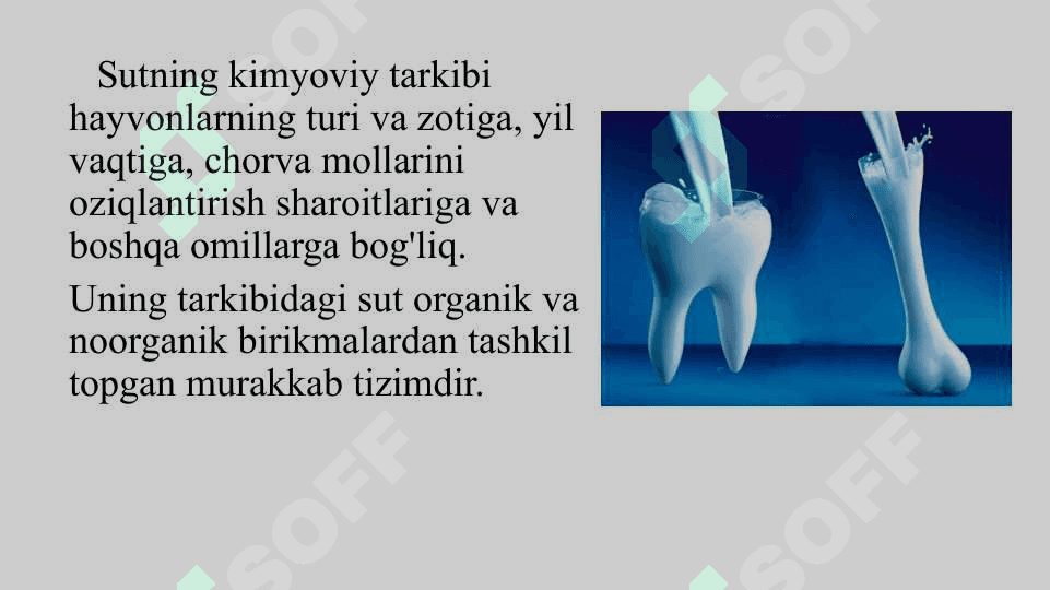 SUT VA SUT MAHSULOTLARI 4