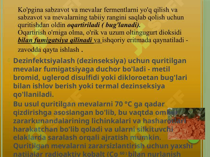 Qayta ishlangan mevalar 4