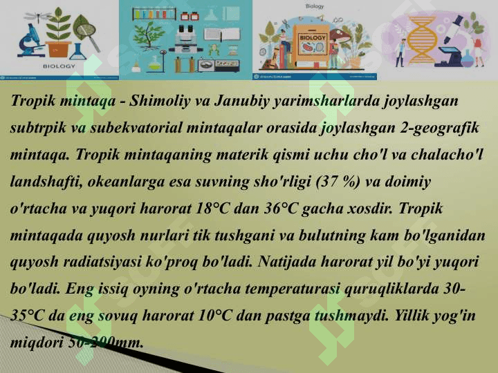 Tropik o’lkalarda tarqalgan oziq-ovqat o’simliklari 5