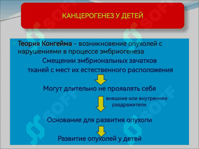 ОСОБЕННОСТИ ОПУХОЛЕЙ ДЕТСКОГО ВОЗРАСТА. ОПУХОЛЬ ВИЛЬМСА 3