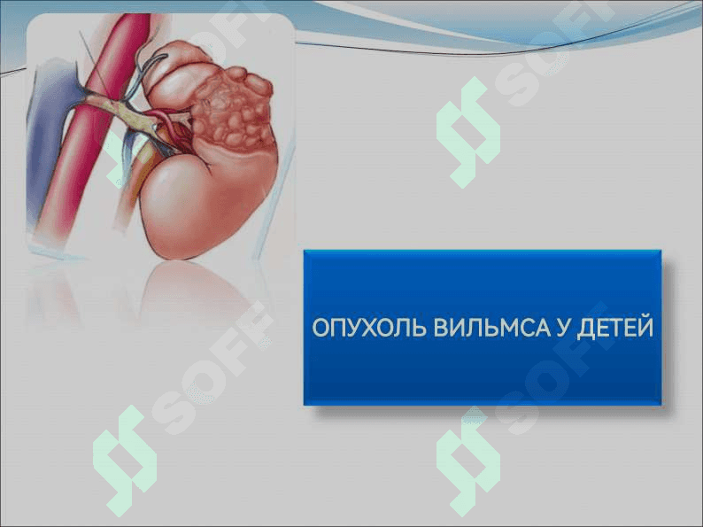 ОСОБЕННОСТИ ОПУХОЛЕЙ ДЕТСКОГО ВОЗРАСТА. ОПУХОЛЬ ВИЛЬМСА 7