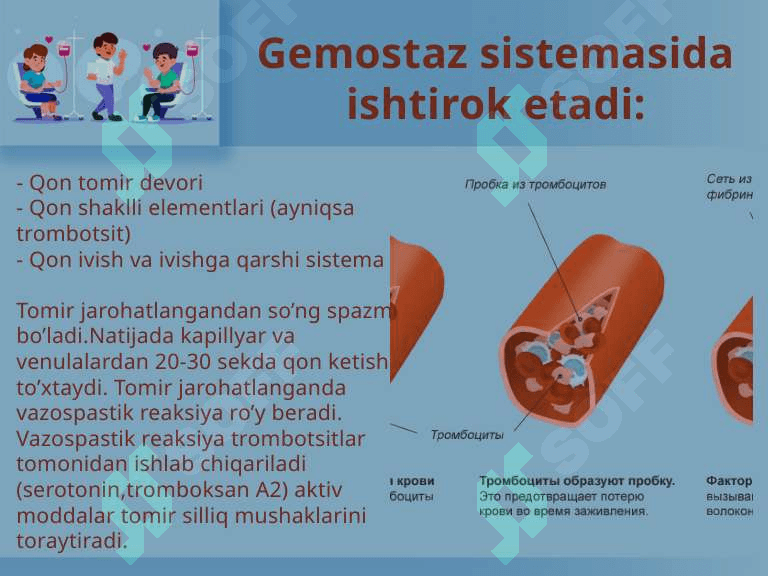 Gemostaz PPT 3
